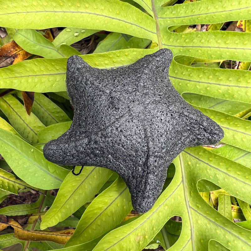 Konjac Sponge/Sunscreen Remover with Activated Bamboo Charcoal - Starfish-shaped