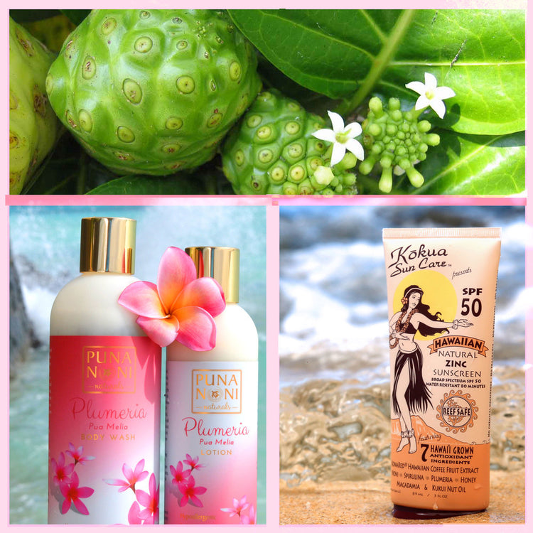 THE HEALING BENEFITS OF NONI FOR YOUR SKIN PUNA NONI NATURALS & KŌKUA Kokua Sun Care